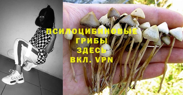 герыч Алексеевка