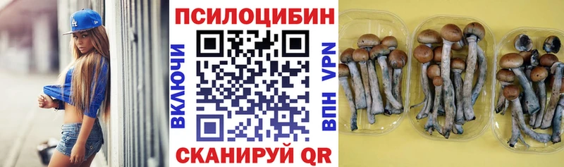 магазин    Тюкалинск  Псилоцибиновые грибы прущие грибы 